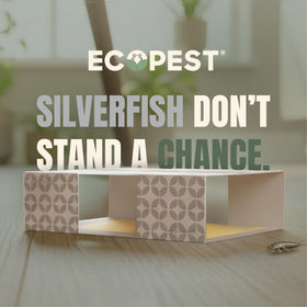 ECOPEST trap closeup with natural attractant lure for silverfish.