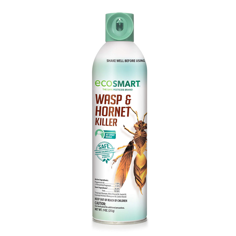 EcoSmart natural wasp killer can for quick outdoor control