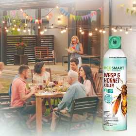 EcoSmart plant-based formula bottle for family-friendly pest care