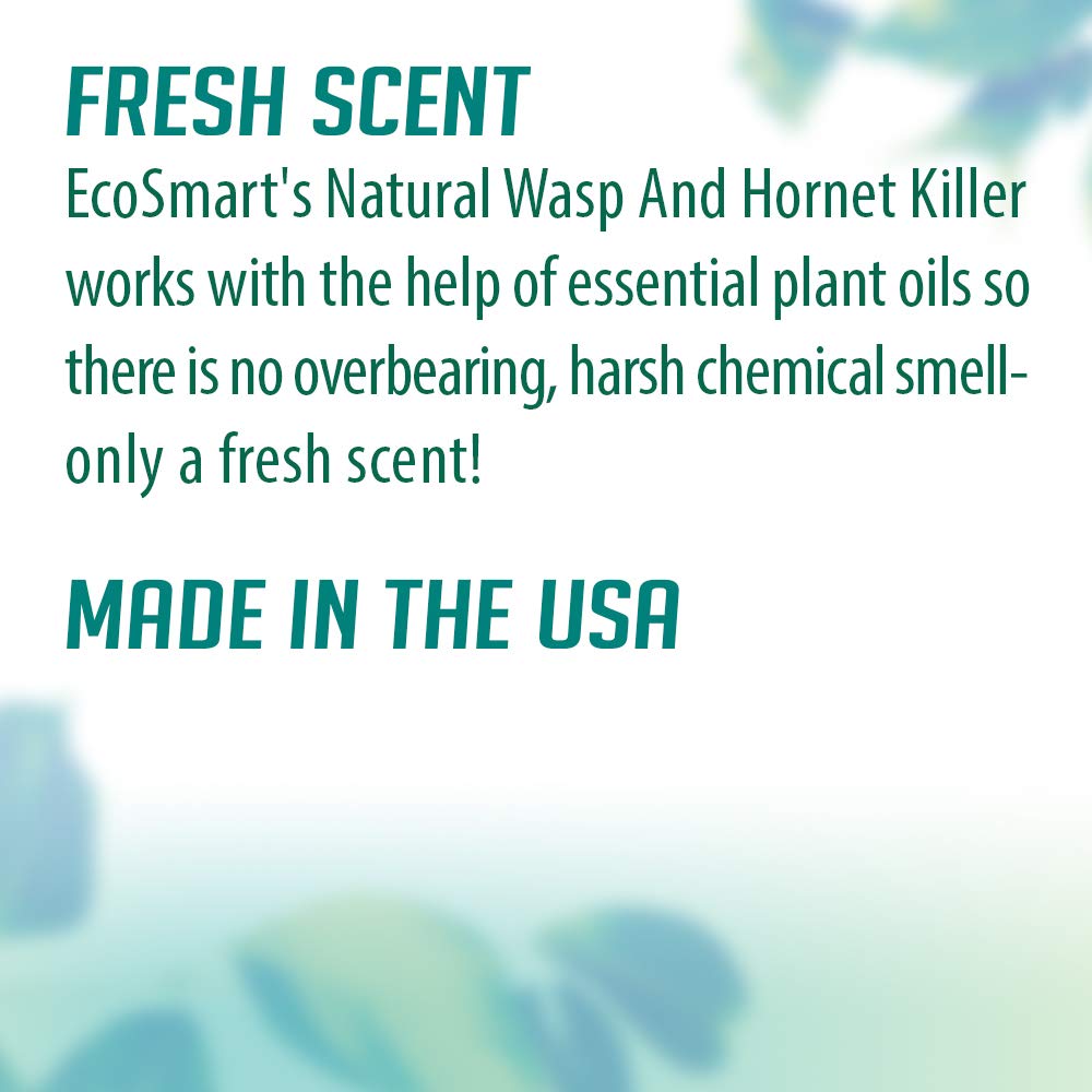 EcoSmart spray-action image shows fast wasp control outdoors