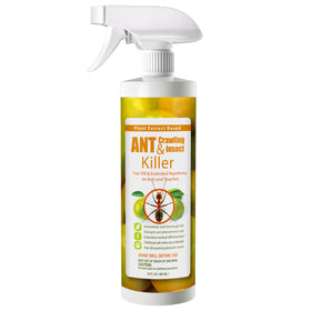 EcoVenger ant killer citrus bottle for fast indoor knockdown