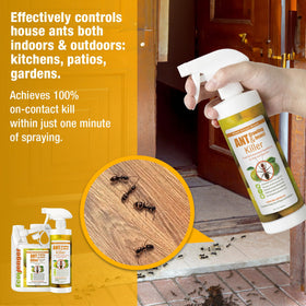 EcoVenger ants quick kill shows fast elimination of house ants