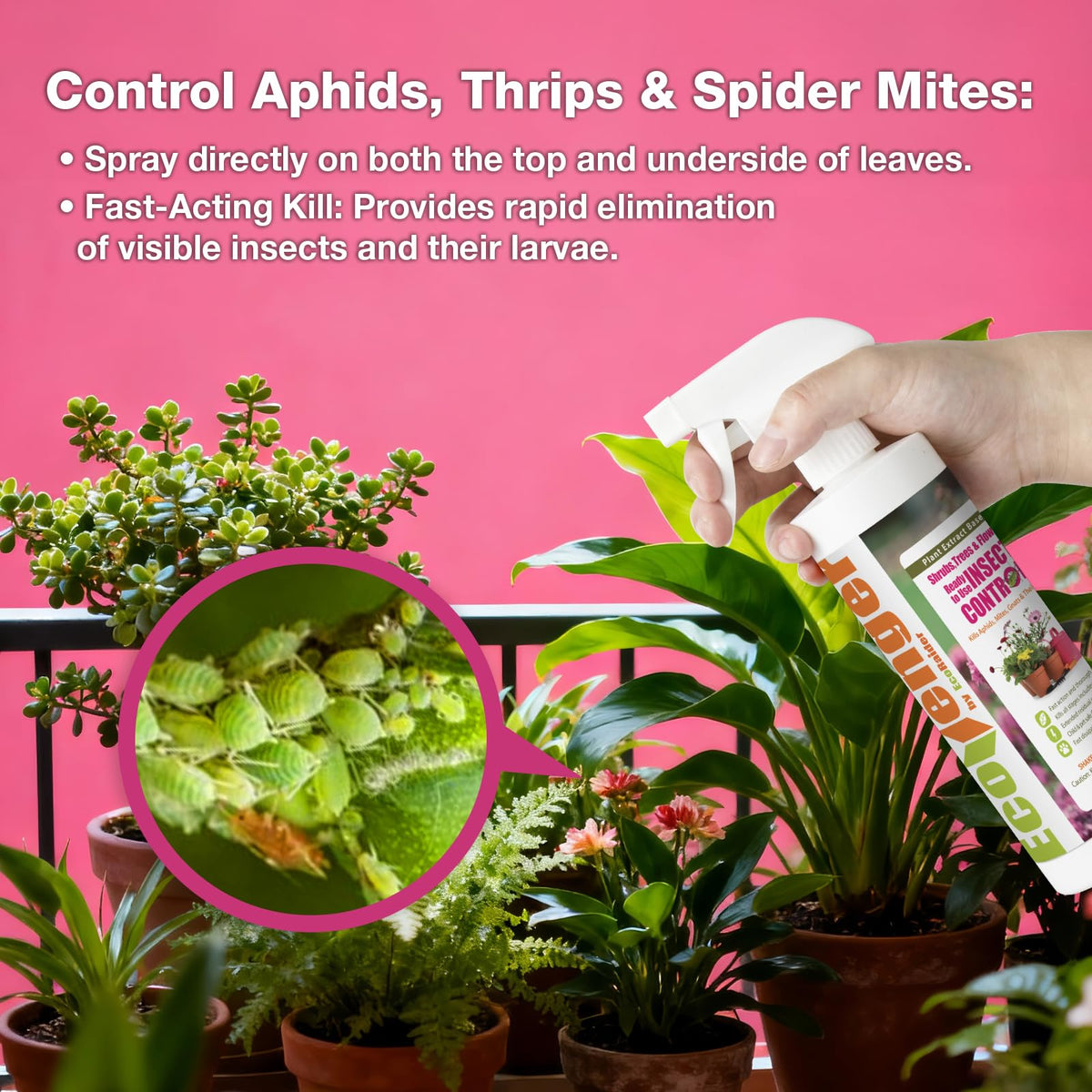 EcoVenger gnats control illustrating soil treatment to stop larvae