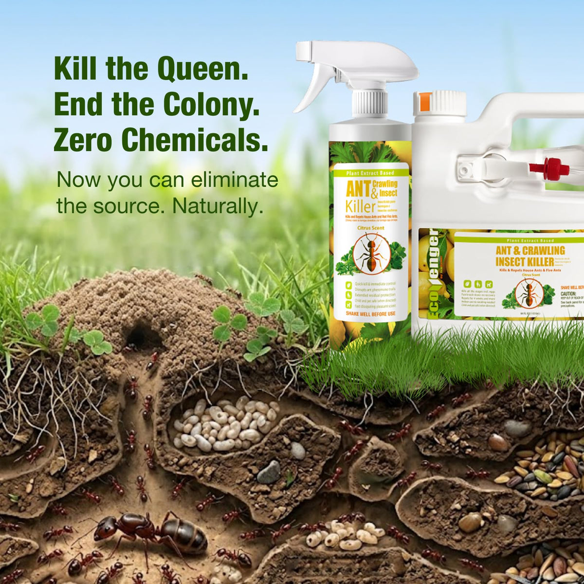 EcoVenger multi-insect coverage beyond ants shown