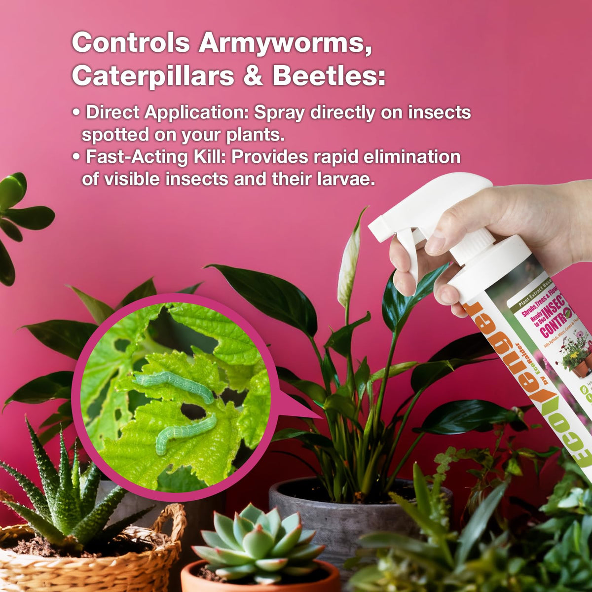 EcoVenger natural formula ingredients highlighting botanical actives