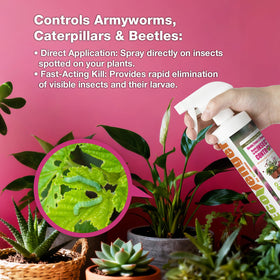 EcoVenger natural formula ingredients highlighting botanical actives