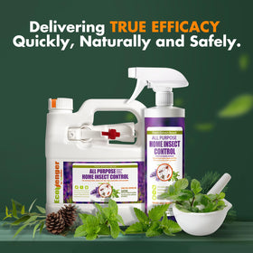 Packaging image highlighting recyclable, convenient 16 oz bottle