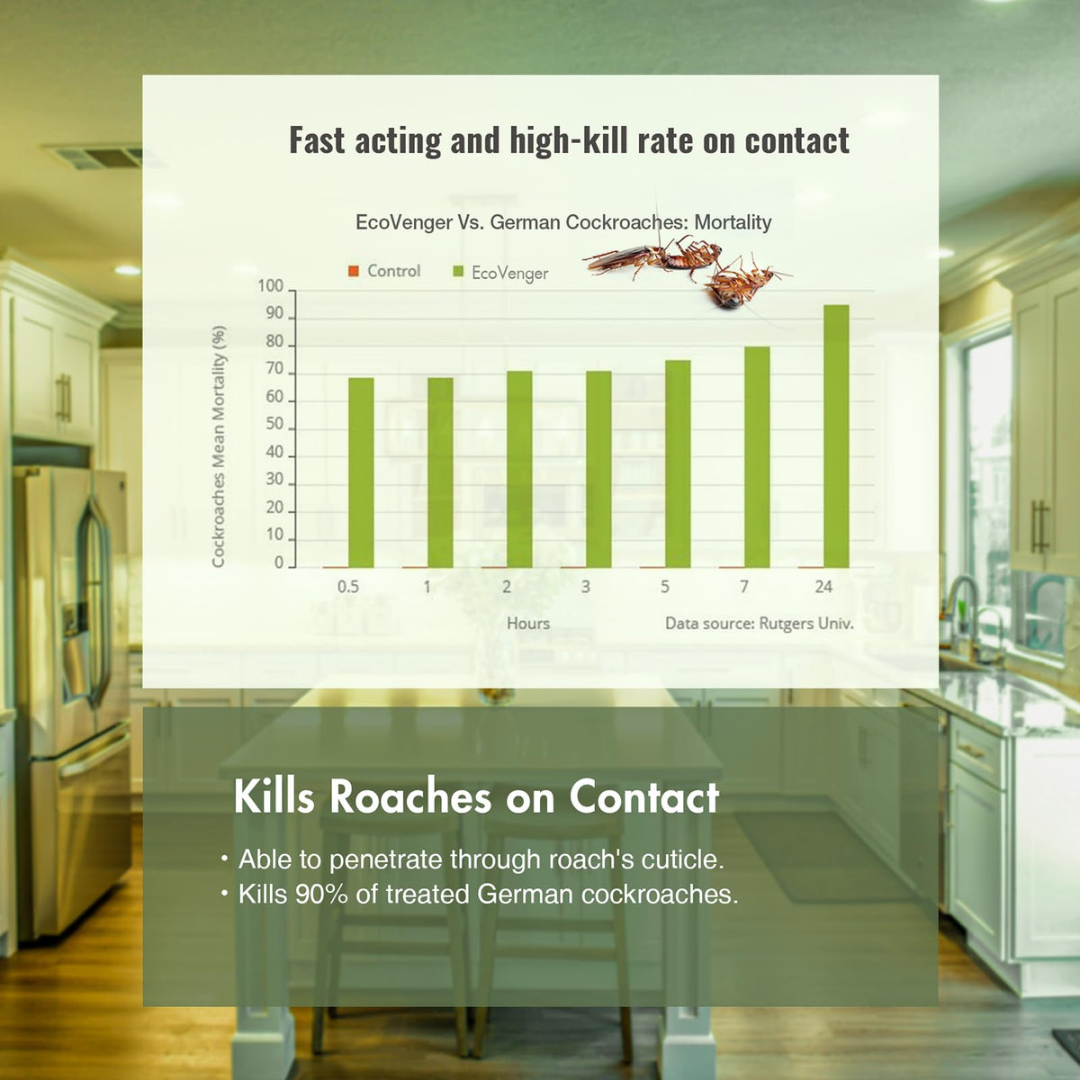 EcoVenger Roach Killer no staining on most surfaces.