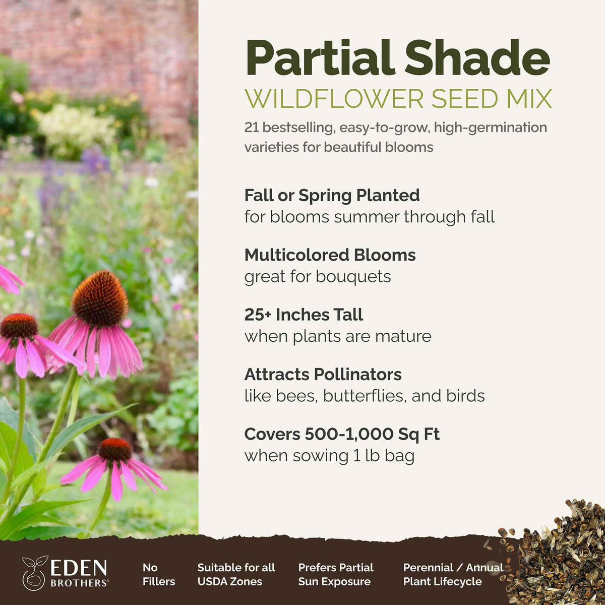 Eden Brothers seeds close-up showing 27 species, including Sweet William and Foxglove.