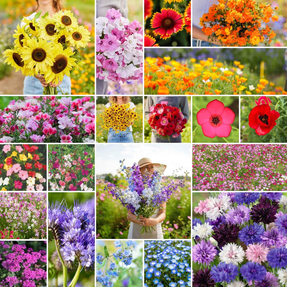 Eden Brothers All Annual Wildflower Mix bottle ready for planting for pollinator gardens