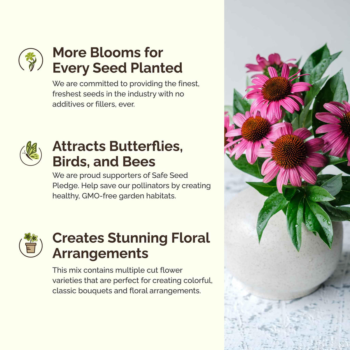 Bees and butterflies visit Eden Brothers Bees Knees flowers in bloom