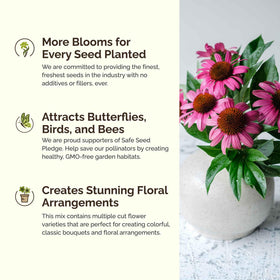 Bees and butterflies visit Eden Brothers Bees Knees flowers in bloom