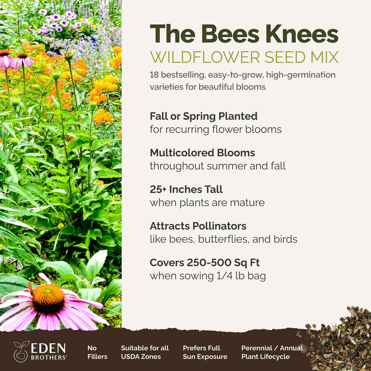 Close-up of the Bees Knees seed mix with multiple species ready to germinate