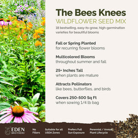 Close-up of the Bees Knees seed mix with multiple species ready to germinate