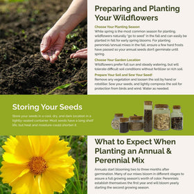 Spring or fall planting guide for Eden Brothers Bees Knees mix in a garden bed