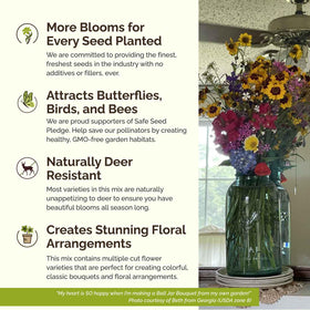 Eden Brothers Burst of Bloom blanket flower provides warm color and extended bloom
