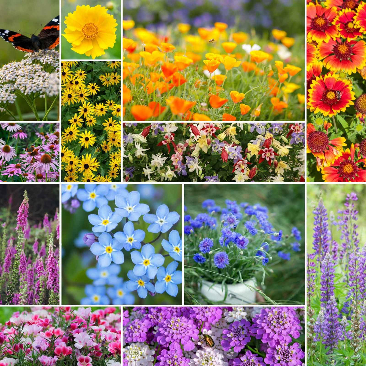Eden Brothers deer-resistant wildflower mix front label showing 13 species for pollinators.
