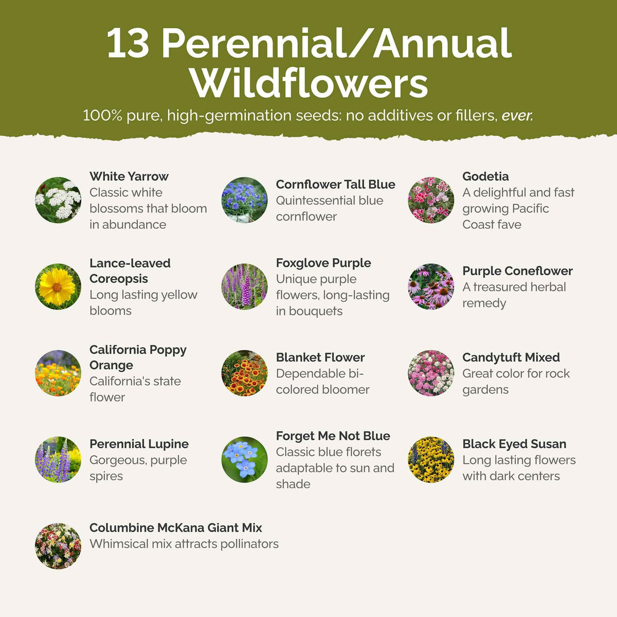 Eden Brothers deer-resistant wildflower mix seed packet close-up for planting.
