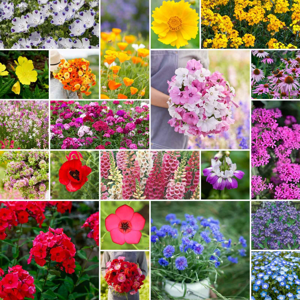 Eden Brothers partial shade wildflower mix bag close-up for spring planting.