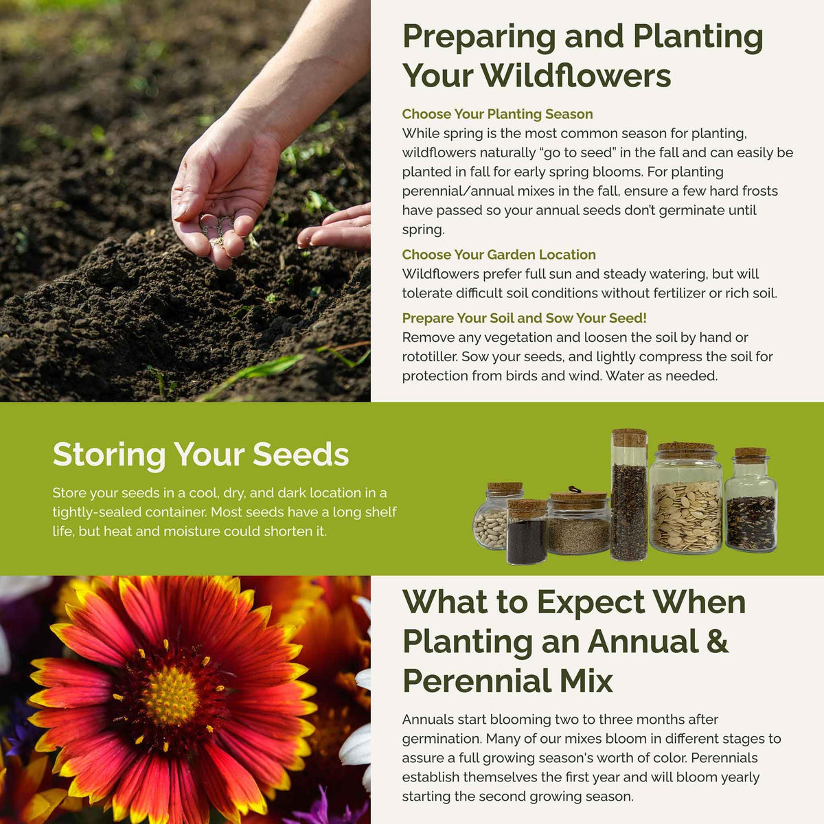 Eden Brothers planting guidance for spring or fall sowing.