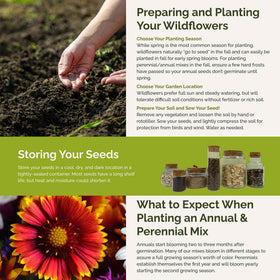 Eden Brothers planting guidance for spring or fall sowing.