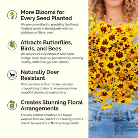Eden Brothers pollinator-friendly blooms attract bees and butterflies