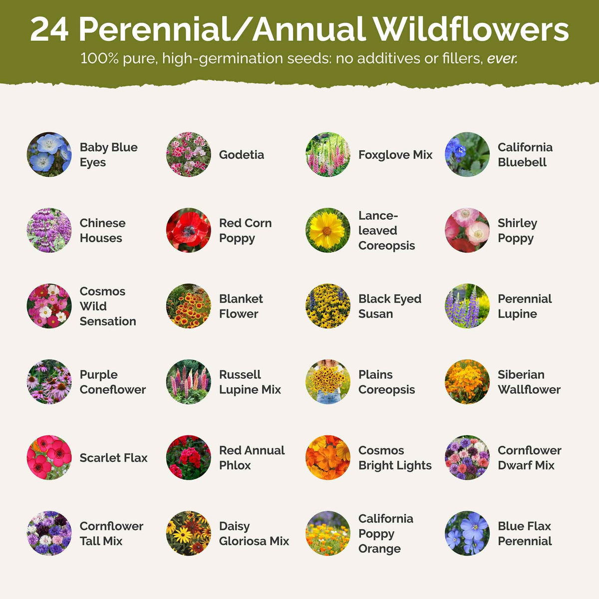 Eden Brothers pollinator-friendly wildflowers in field setup for bees and butterflies.
