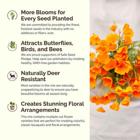 Eden Brothers pollinator-friendly blooms in a sunlit garden.