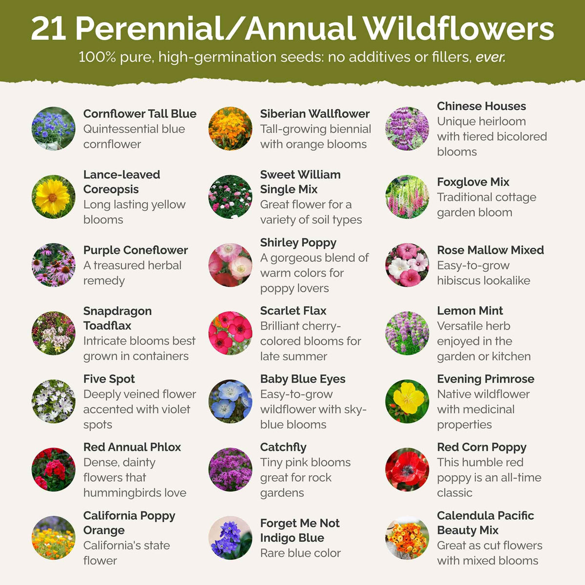 Eden Brothers pollinator-friendly garden seed mix ready for spring planting