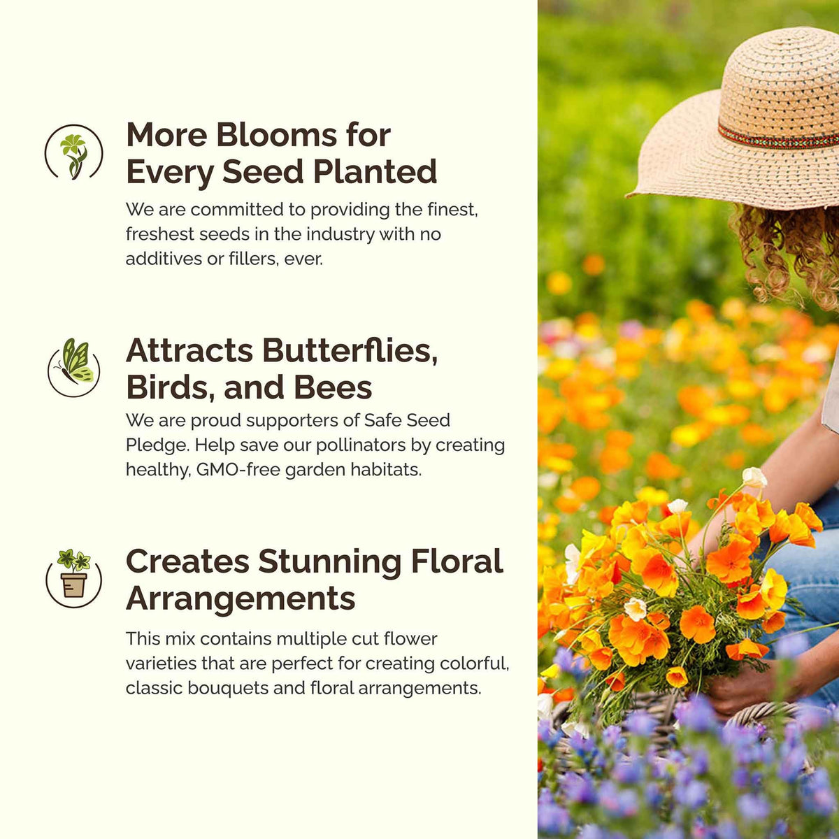 Eden Brothers pollinator garden with mixed wildflowers attracting bees and butterflies.