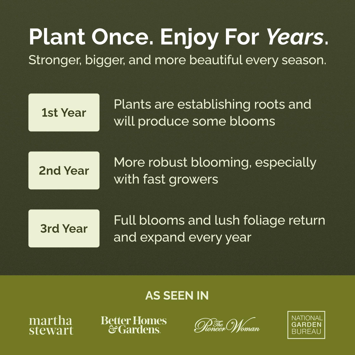 Shasta Daisy and Lupine blooms featured in Eden Brothers mix for bright summer color.