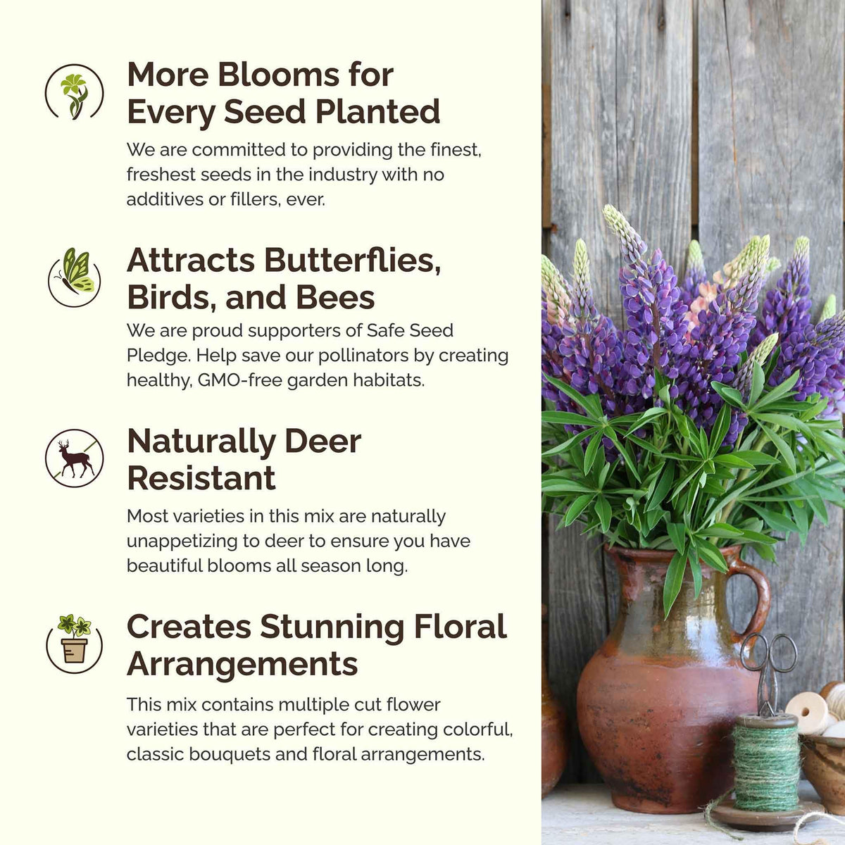 Eden Brothers Texas Wildflower mix displays vibrant bloom colors.