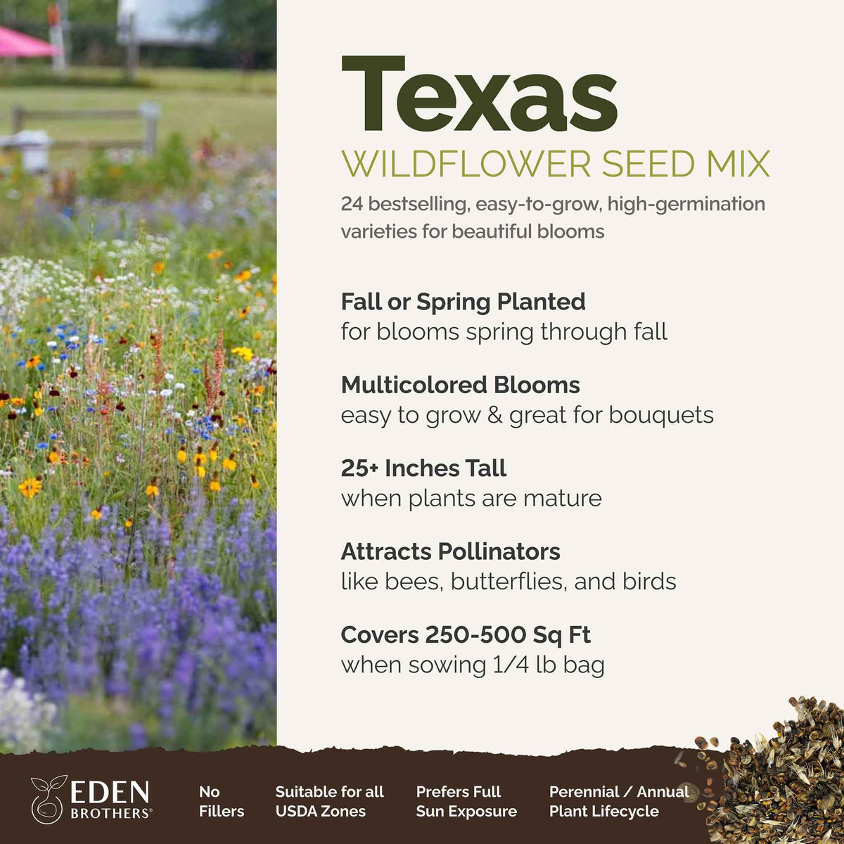 Eden Brothers Texas Wildflower mix close-up shows 24-species variety.