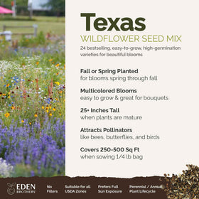 Eden Brothers Texas Wildflower mix close-up shows 24-species variety.