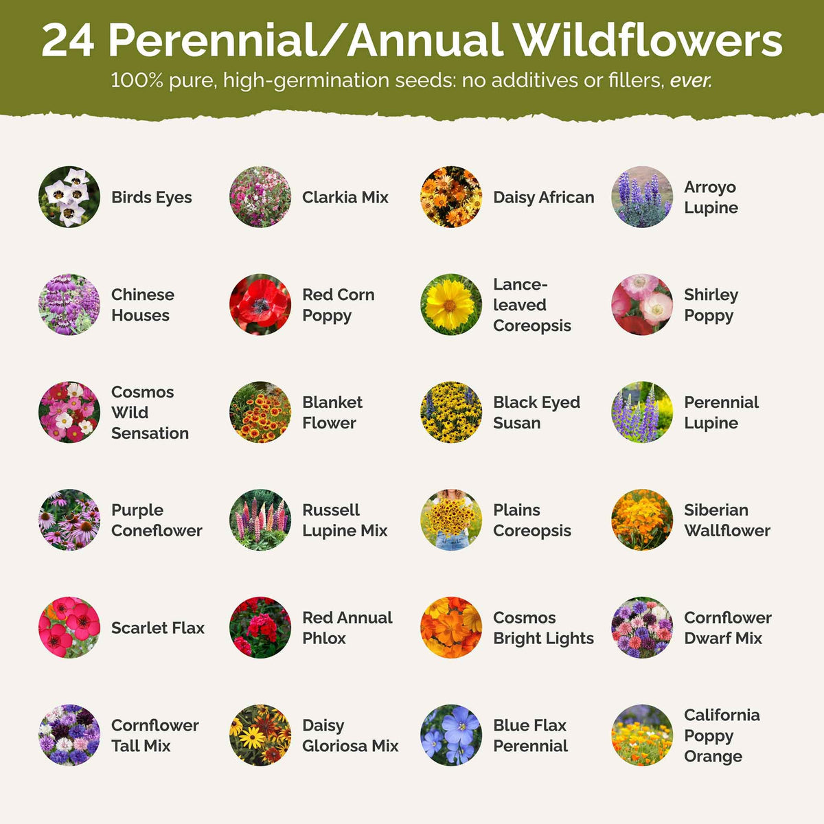 Eden Brothers Texas Wildflower garden plot prepared for sowing.