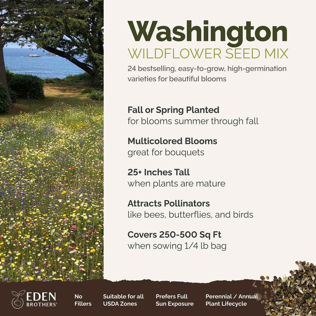 Eden Brothers wildflower mix seeds closeup showing vibrant colors to attract pollinators.
