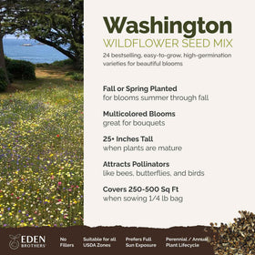 Eden Brothers wildflower mix seeds closeup showing vibrant colors to attract pollinators.