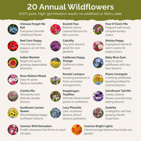 Eden Brothers wildflower mix bloom preview showing varied colors