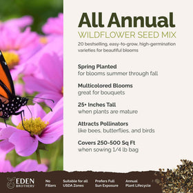 Close-up of Eden Brothers wildflower seed packets for easy home sowing