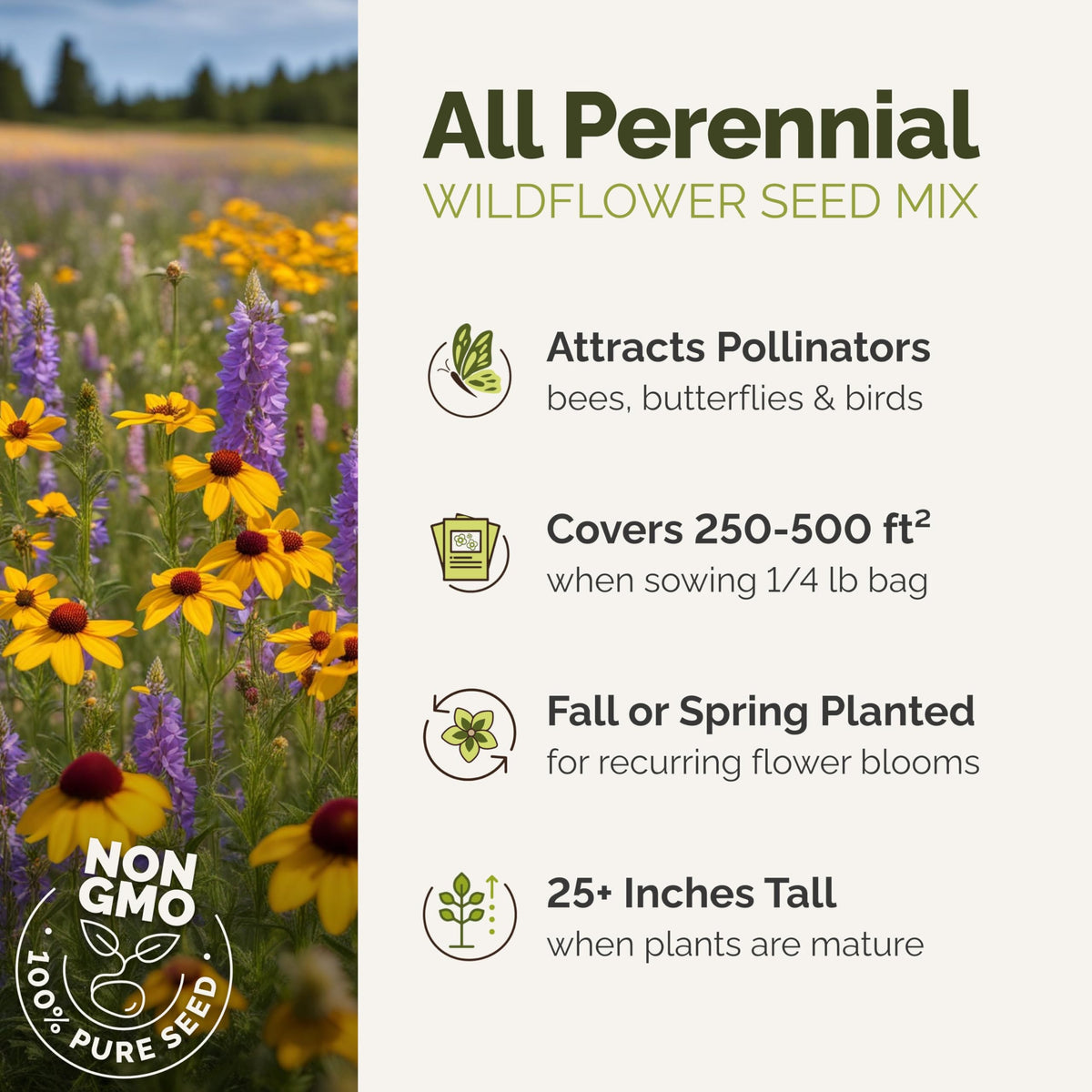 Eden Brothers wildflower mix drawing bees and butterflies to a sunlit garden.