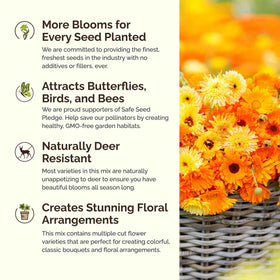 Eden Brothers seed mix suitable for zones 3-10.