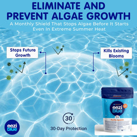 Eeziblue 21oz pre-measured bag simplifies dosing for up to 20,000 gallons