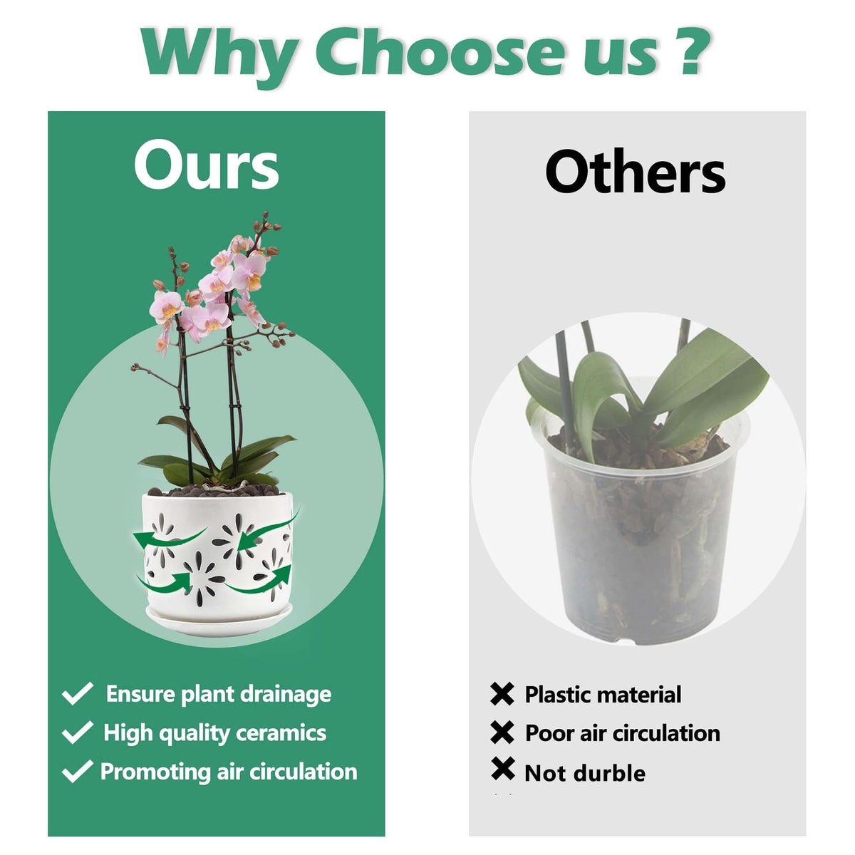 EFISPSS Orchid Pot featuring decorative flower cuts enhances visual appeal.