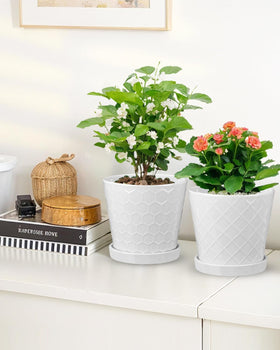 EFISPSS 6-inch pot on office desk as stylish decor.