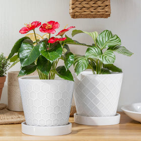 EFISPSS ceramic plant pot 6-inch white with minimalist conical stripes for modern interiors.