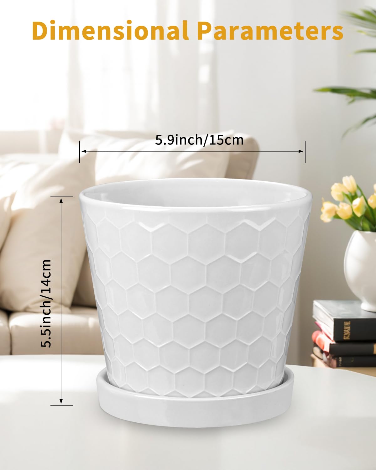 EFISPSS plant pot with drainage hole and saucer for indoor watering control.