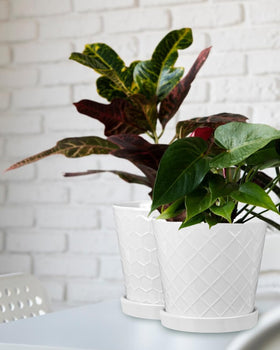 EFISPSS white ceramic pot on windowsill, ideal kitchen decor.