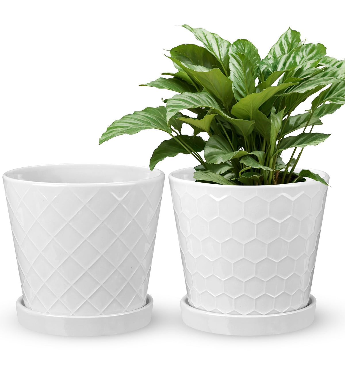 EFISPSS set of 2 planters, gift-ready for indoor greenery.