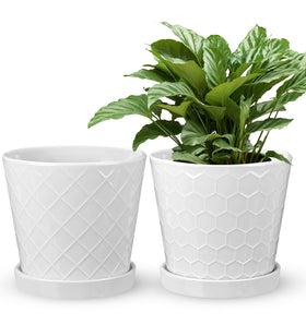 EFISPSS set of 2 planters, gift-ready for indoor greenery.