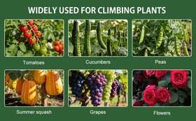 efulycozyy Plant Clips secure vines without damage